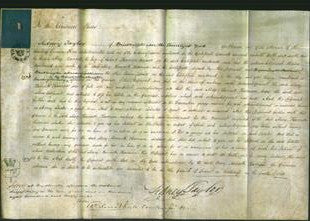 Court of Common Pleas - Mary Harriett Harrison-Original Ancestry