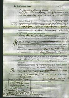 Court of Common Pleas - Ann Elizabeth Cox-Original Ancestry