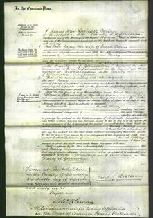 Court of Common Pleas - Mary Robins-Original Ancestry