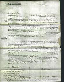 Court of Common Pleas - Mary Anne Nicholson-Original Ancestry