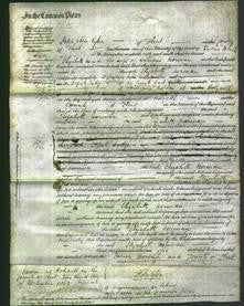 Court of Common Pleas - Elizabeth Norman-Original Ancestry