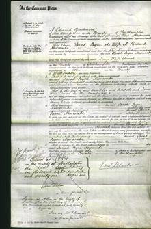 Court of Common Pleas - Sarah Payne Newcombe-Original Ancestry