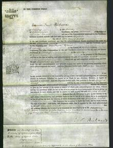 Court of Common Pleas - Elizabeth Corbett-Original Ancestry