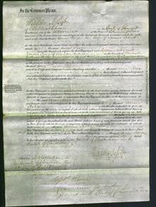 Court of Common Pleas - Ann Rose Lovett-Original Ancestry