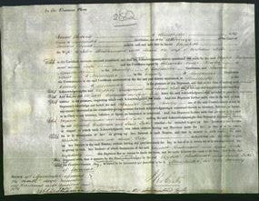 Court of Common Pleas - Elizabeth Bridgeman and Sarah Tuke-Original Ancestry