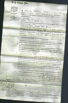 Court of Common Pleas - Ann Baker-Original Ancestry