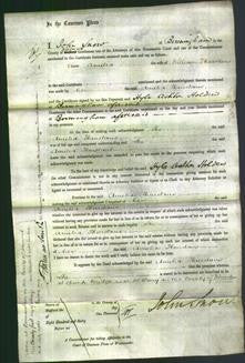 Court of Common Pleas - Amelia Thurstans-Original Ancestry