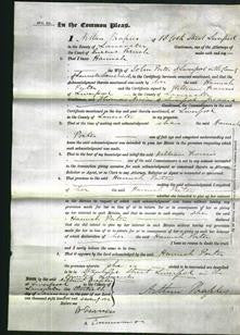 Court of Common Pleas - Hannah Porter-Original Ancestry