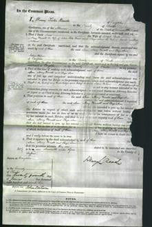 Court of Common Pleas - Ann Steele, Mary Worrall Ward, Eliza Ann Holland-Original Ancestry