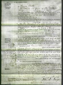 Court of Common Pleas - Emma Rowland-Original Ancestry