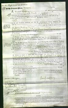 Court of Common Pleas - Catherine Ann Newton-Original Ancestry