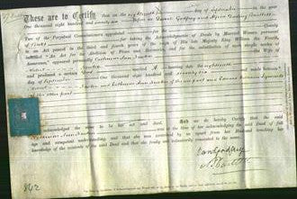 Deed by Married Women - Catherine Ann Newton-Original Ancestry