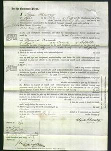 Court of Common Pleas - Caroline Michell-Original Ancestry