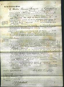 Court of Common Pleas - Caroline Lintern and Elizabeth Merrick-Original Ancestry