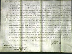 Court of Common Pleas - Maria Knowles-Original Ancestry