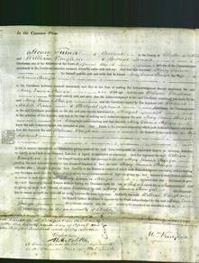 Court of Common Pleas - Mary Emma Stringer-Original Ancestry