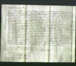 Court of Common Pleas - Mary Harvey, Elizabeth Foster and Catherine Frances Bradbury-Original Ancestry