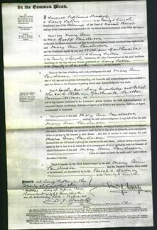 Court of Common Pleas - Mary Ann Sanderson-Original Ancestry