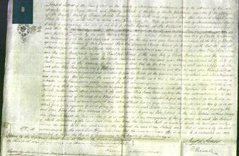 Court of Common Pleas - Ann Eliza Jane Jones-Original Ancestry