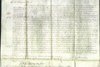 Court of Common Pleas - Mary Jones-Original Ancestry