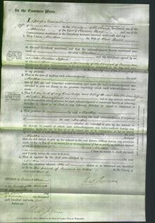 Court of Common Pleas - Martha Lewis