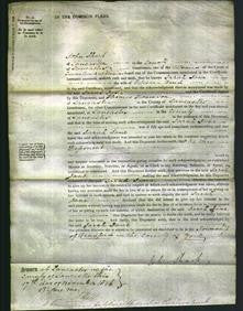 Court of Common Pleas - Sarah Jane Bond-Original Ancestry