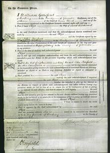 Court of Common Pleas - Eliza Woodward-Original Ancestry