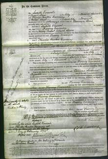 Court of Common Pleas - Fanny Veronica Spon-Original Ancestry