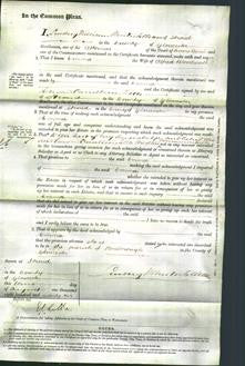 Court of Common Pleas - Emma Bloodworth-Original Ancestry