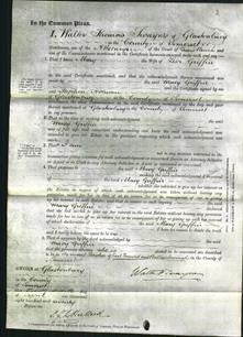 Court of Common Pleas - Mary Griffin-Original Ancestry