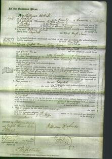 Court of Common Pleas - Elizabeth Jones