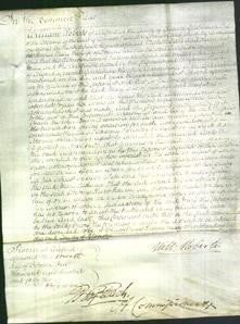 Court of Common Pleas - Mary Webb-Original Ancestry