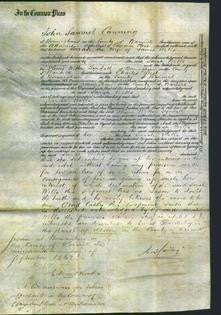 Court of Common Pleas - Sarah Wells-Original Ancestry