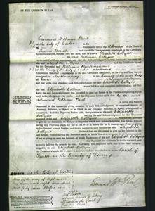 Court of Common Pleas - Elizabeth Collyns-Original Ancestry