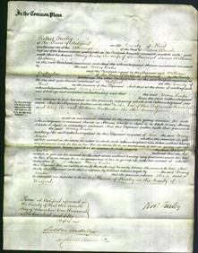 Court of Common Pleas - Mary Coates Bellamy-Original Ancestry