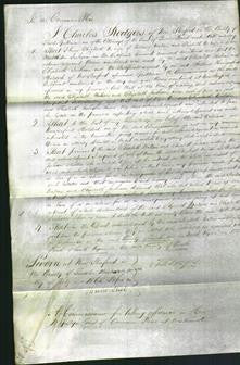 Court of Common Pleas - Elizabeth Watson, Elizabeth Jackson-Original Ancestry