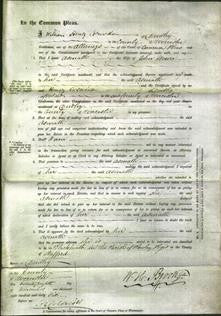 Court of Common Pleas - Asenath Moore-Original Ancestry