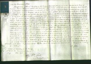 Court of Common Pleas - Sarah Fussell-Original Ancestry