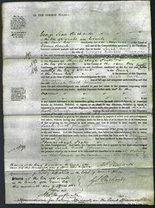Court of Common Pleas - Sarah Booth Johnson-Original Ancestry