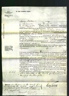 Court of Common Pleas - Sarah Pithouse-Original Ancestry