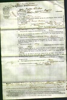 Court of Common Pleas - Mary Tomkinson-Original Ancestry