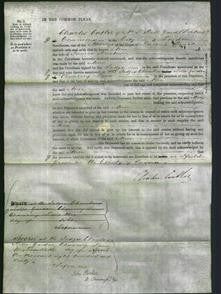 Court of Common Pleas - Ann Bristow-Original Ancestry