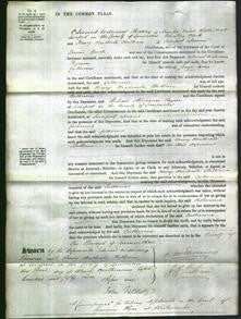 Court of Common Pleas - Catherine Lewis-Original Ancestry