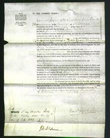 Court of Common Pleas - Jane Williams-Original Ancestry