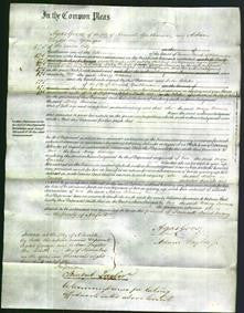 Court of Common Pleas - Mary Barnes-Original Ancestry