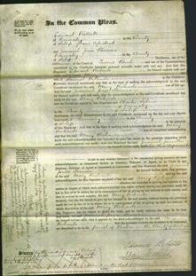 Court of Common Pleas - Mary Richards-Original Ancestry