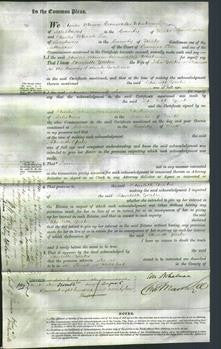 Court of Common Pleas - Charlotte Yates-Original Ancestry