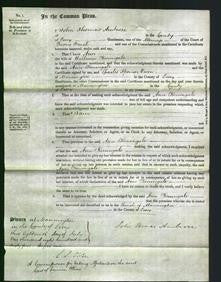 Court of Common Pleas - Ann Keningale-Original Ancestry