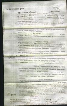 Court of Common Pleas - Hannah Weekes-Original Ancestry