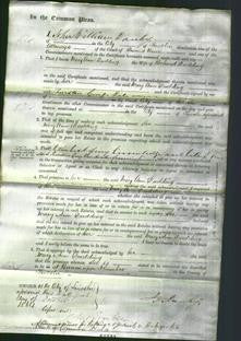 Court of Common Pleas - Mary Ann Dudding-Original Ancestry